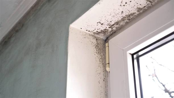 Water Damage Restoration in Kendall Park, NJ