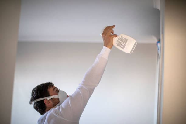 Best Mold Remediation  in Kendall Park, NJ