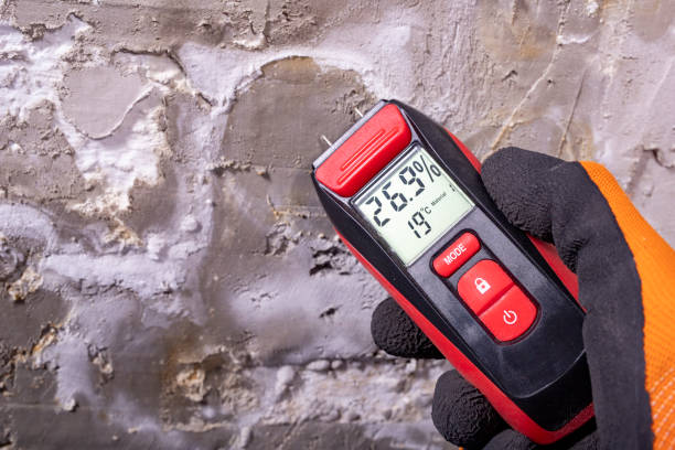 Best Mold Damage Repair  in Kendall Park, NJ